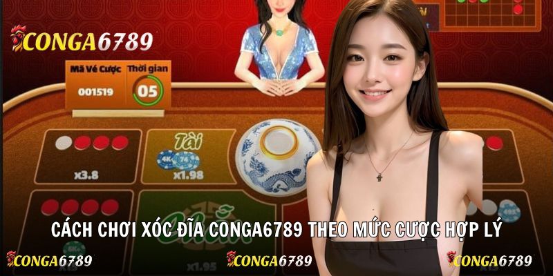 Cách chơi xóc đĩa Conga6789 theo mức cược hợp lý