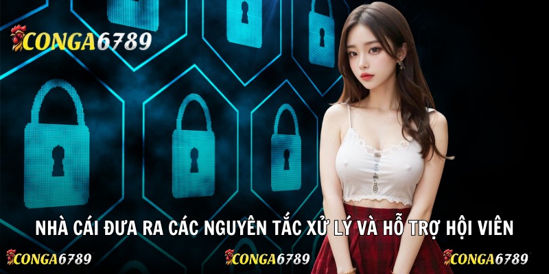 Nhà cái đưa ra các nguyên tắc xử lý và hỗ trợ hội viên