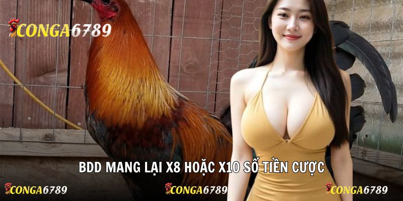 BDD mang lại x8 hoặc x10 số tiền cược