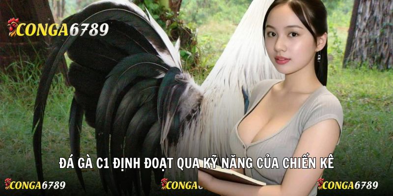 Đá gà C1 định đoạt qua kỹ năng của chiến kê