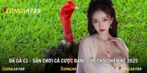 Đá gà C1