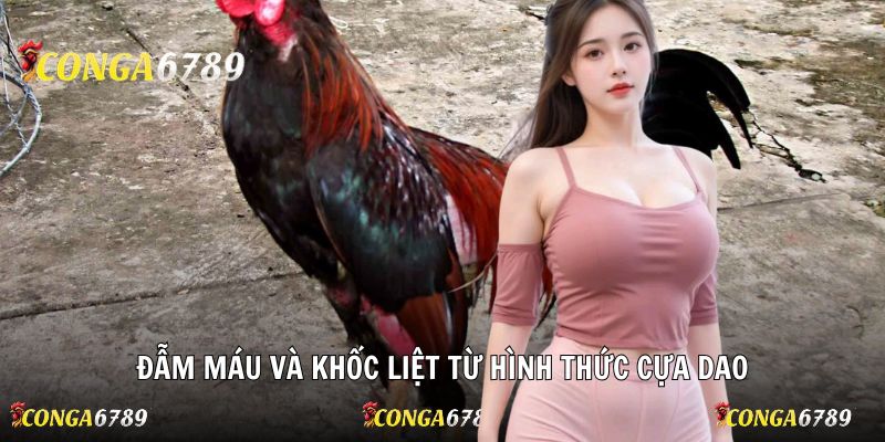 Đẫm máu và khốc liệt từ hình thức cựa dao
