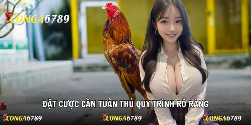 Đặt cược cần tuân thủ quy trình rõ ràng