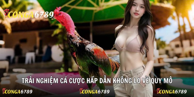 Trải nghiệm cá cược hấp dẫn không lo về quy mô