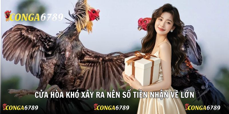 Cửa Hòa khó xảy ra nên số tiền nhận về lớn