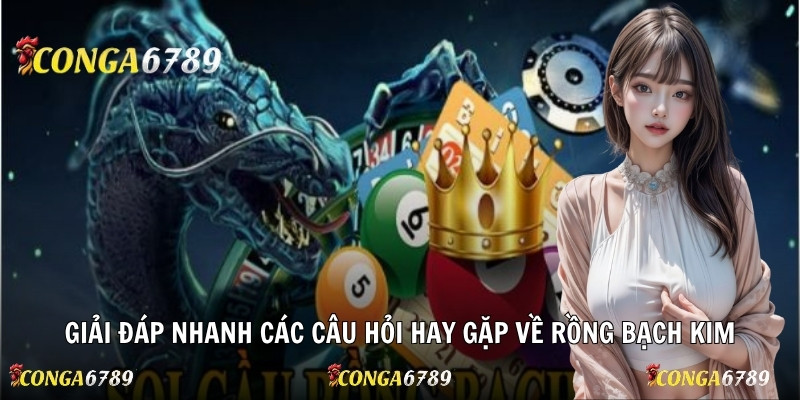 Giải đáp nhanh các câu hỏi hay gặp về Rồng Bạch Kim