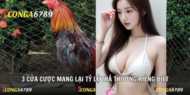 3 cửa cược mang lại tỷ lệ trả thưởng riêng biệt