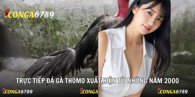 Trực tiếp đá gà Thomo xuất hiện từ những năm 2000