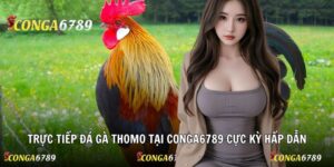 Trực Tiếp Đá Gà Thomo